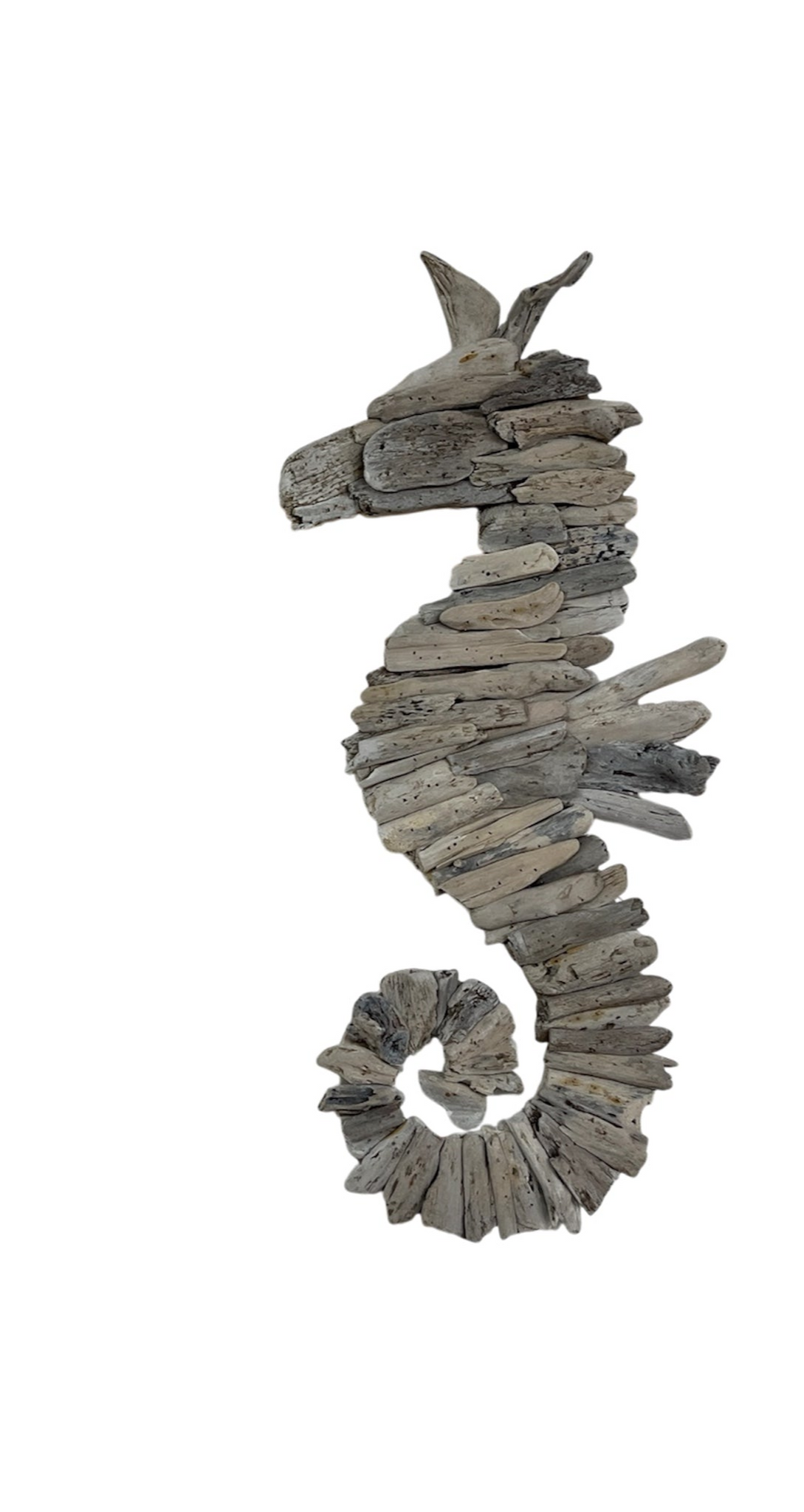 Driftwood Seahorse