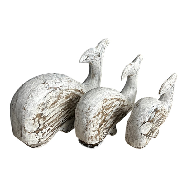 Whale Beluga set of 3