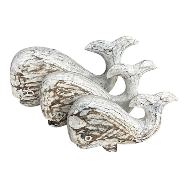 Whale Beluga set of 3