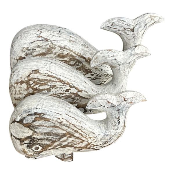 Whale Beluga set of 3