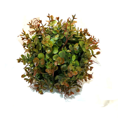 Plant Ball Spiced 16cm