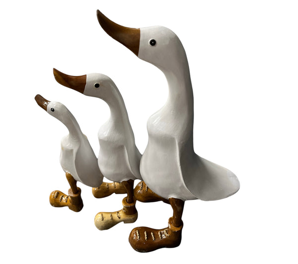 Ducks Set of 3