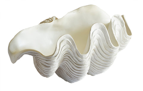 Decorative Synthetic Clam Shell