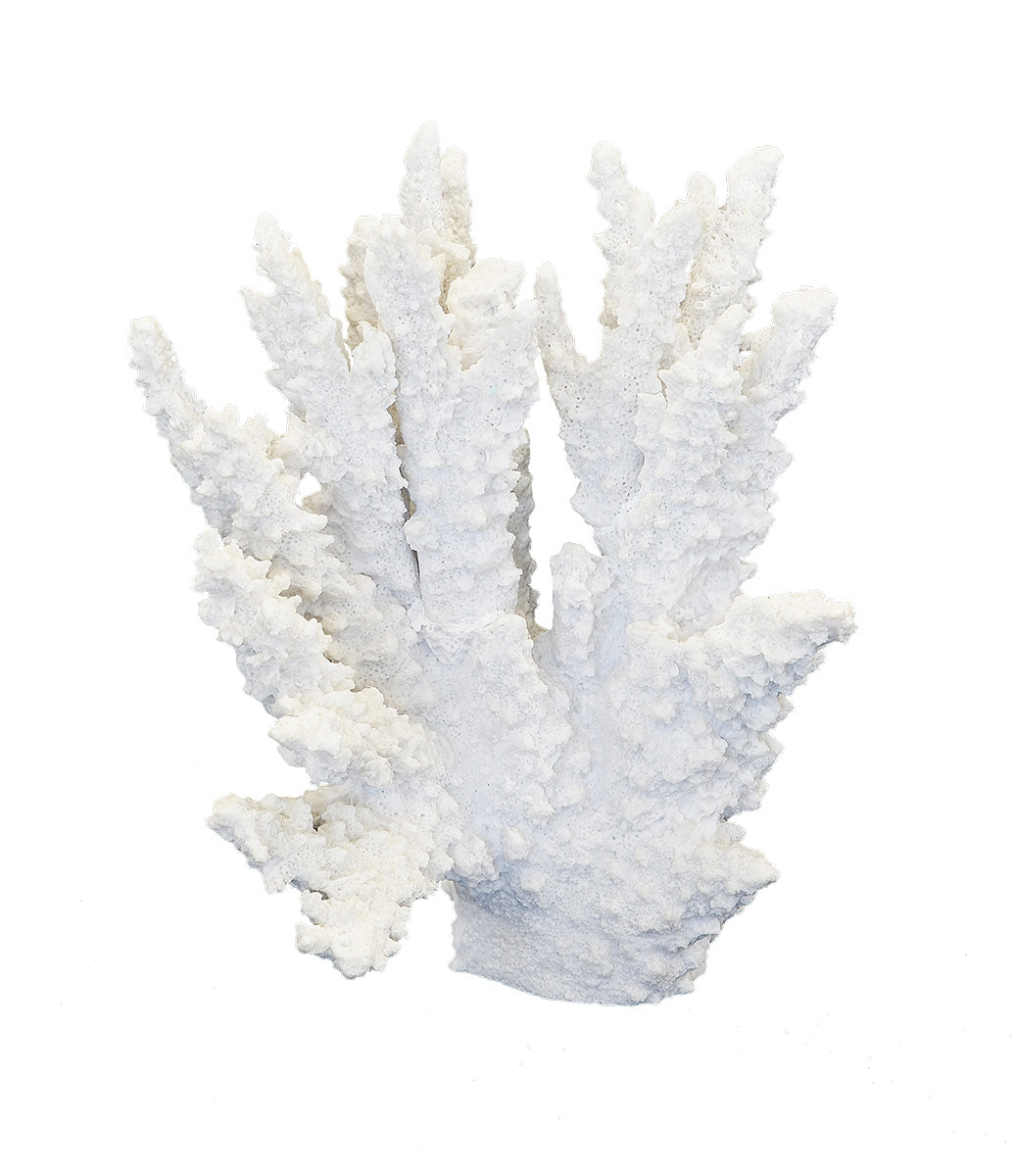 Decorative Synthetic Coral - Staghorn