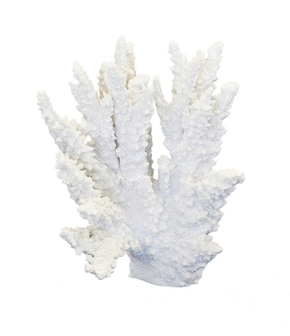 Decorative Synthetic Coral - Staghorn