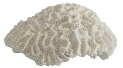 Decorative Synthetic Coral - Brain
