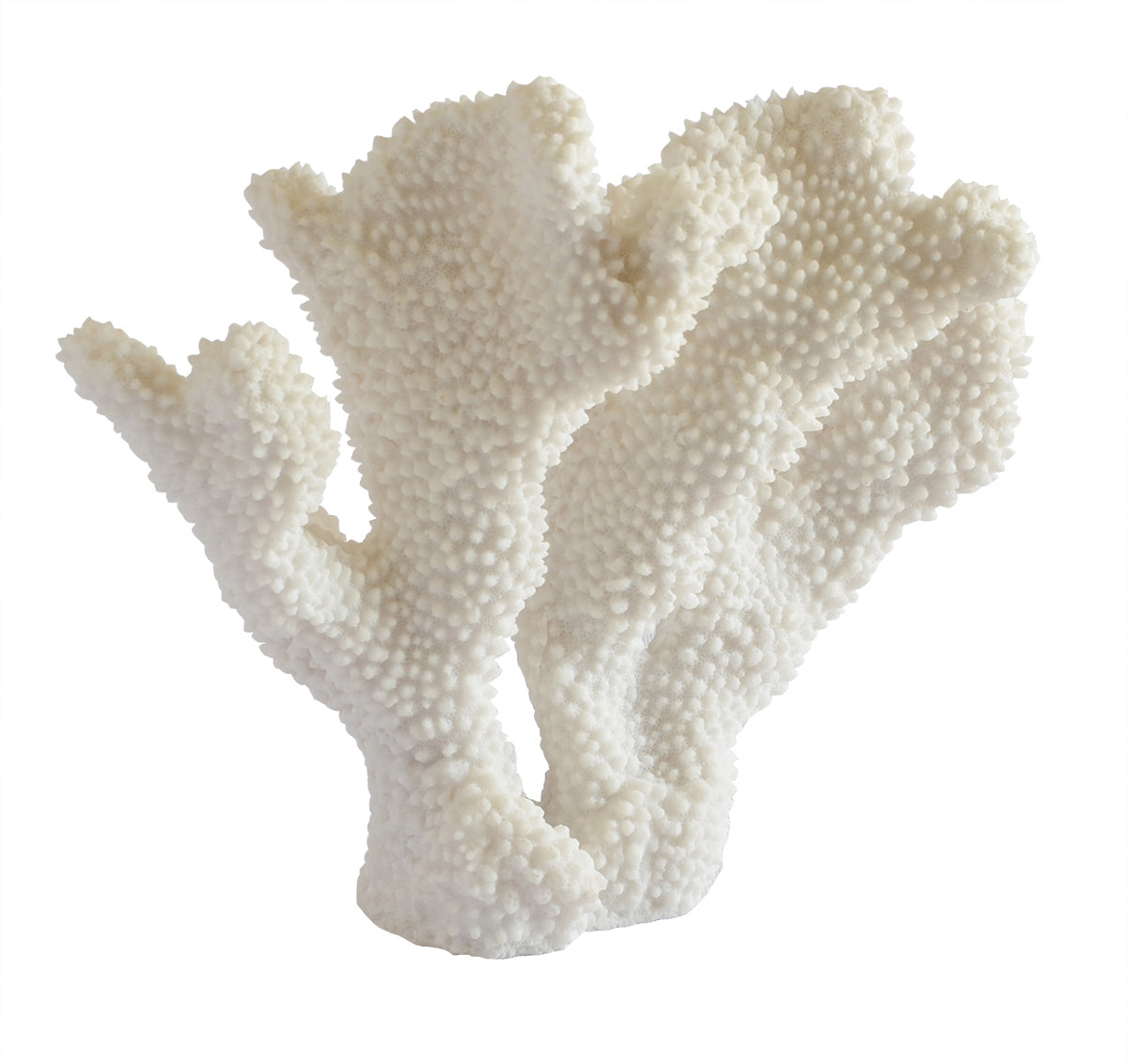 Decorative Synthetic Coral - Ear