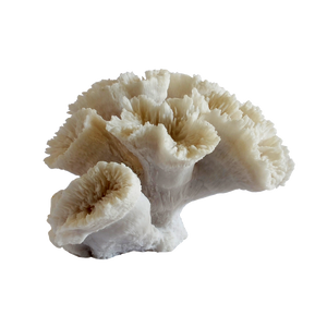 Decorative Synthetic Coral - Sea flower