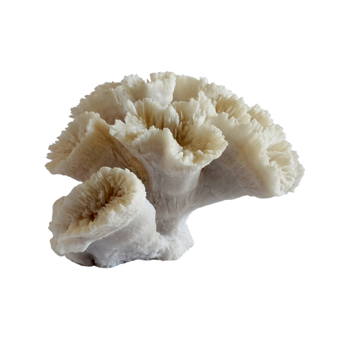 Decorative Synthetic Coral - Sea flower